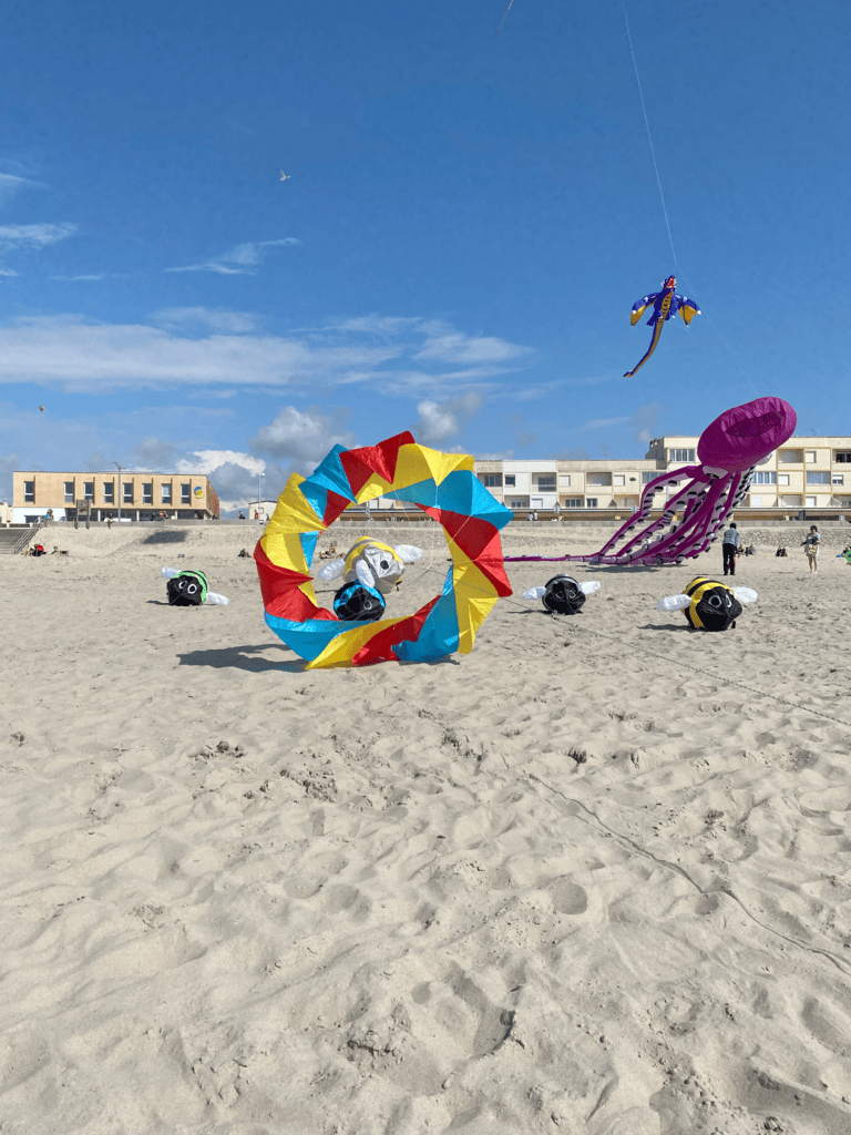 cerf-volant bol