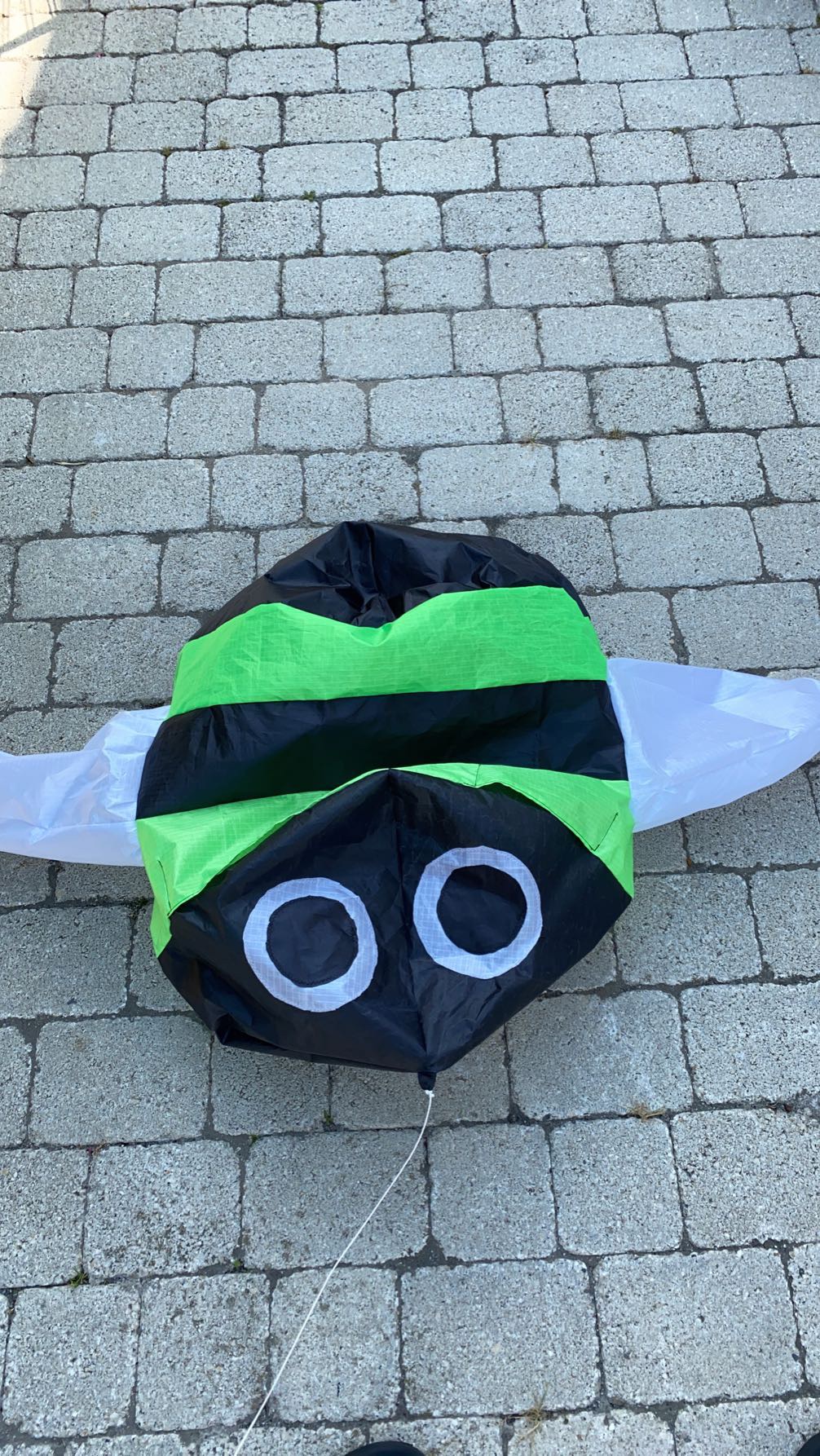 cerf-volant bourdon vert