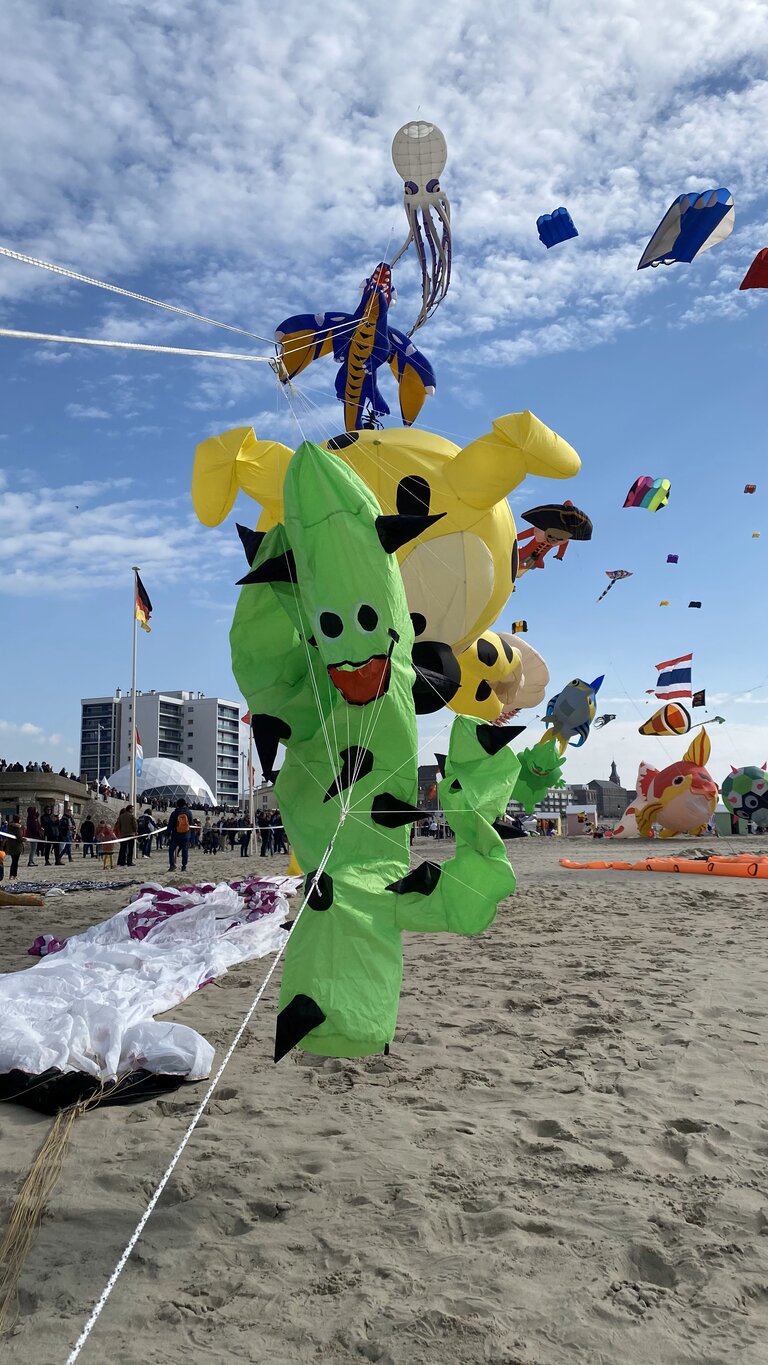 cerf-volant cactus