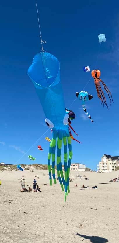 cerf-volant calamar
