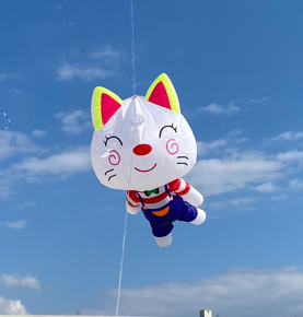 cerf-volant chat avec salopette