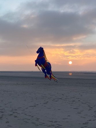 cerf-volant cheval