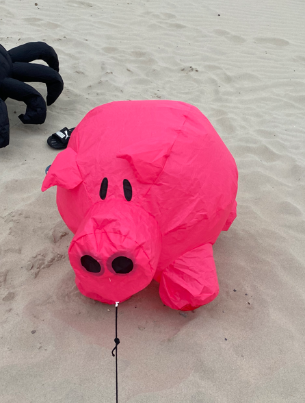 cerf-volant cochon