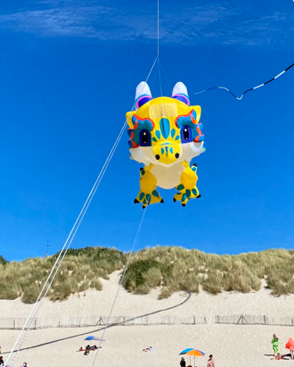 cerf-volant
