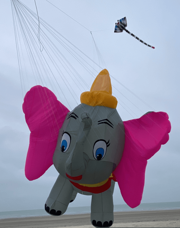cerf-volant éléphant