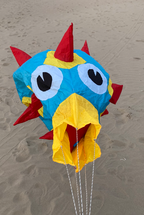 cerf-volant oursin