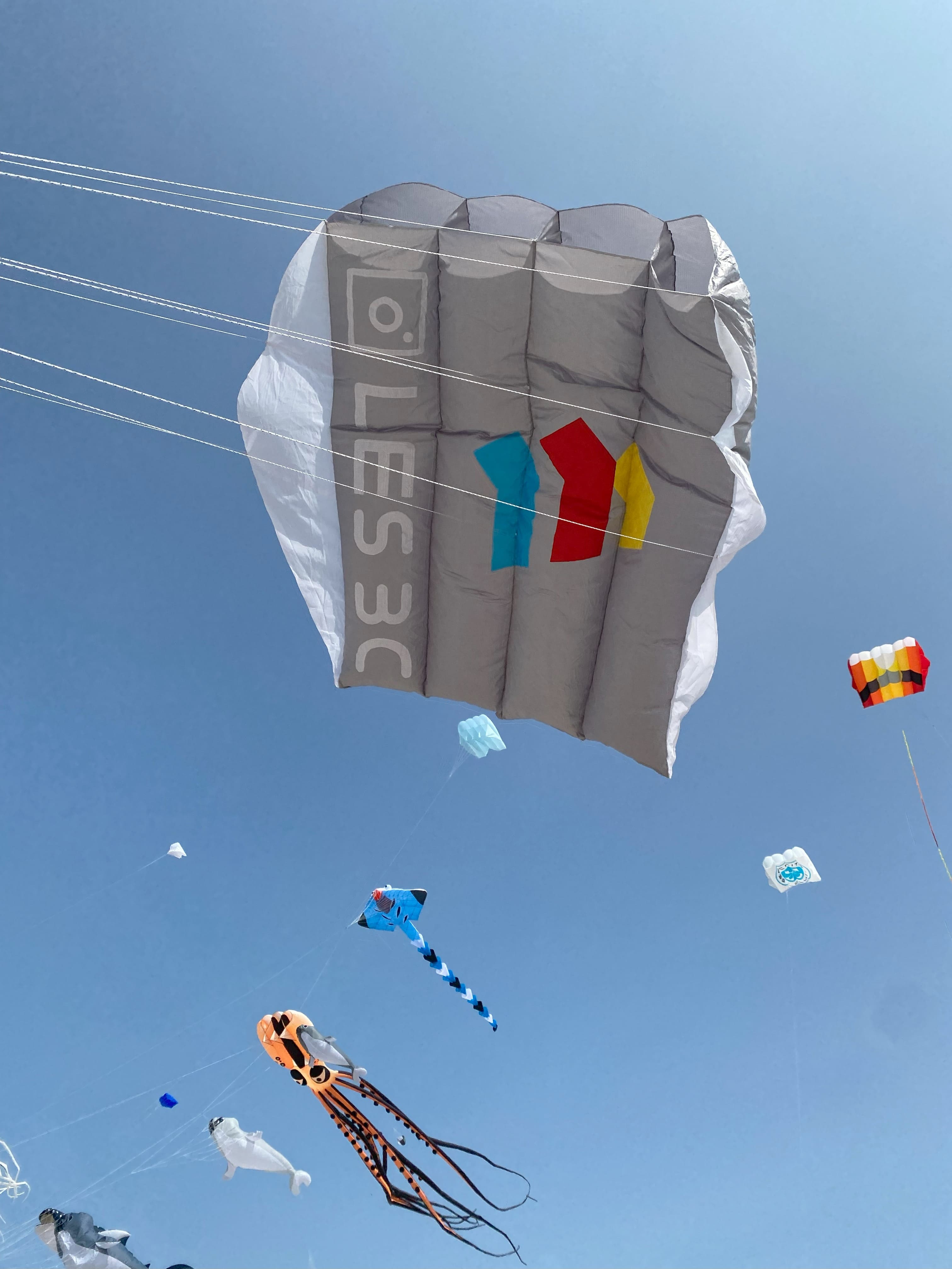 porteur gris les3c