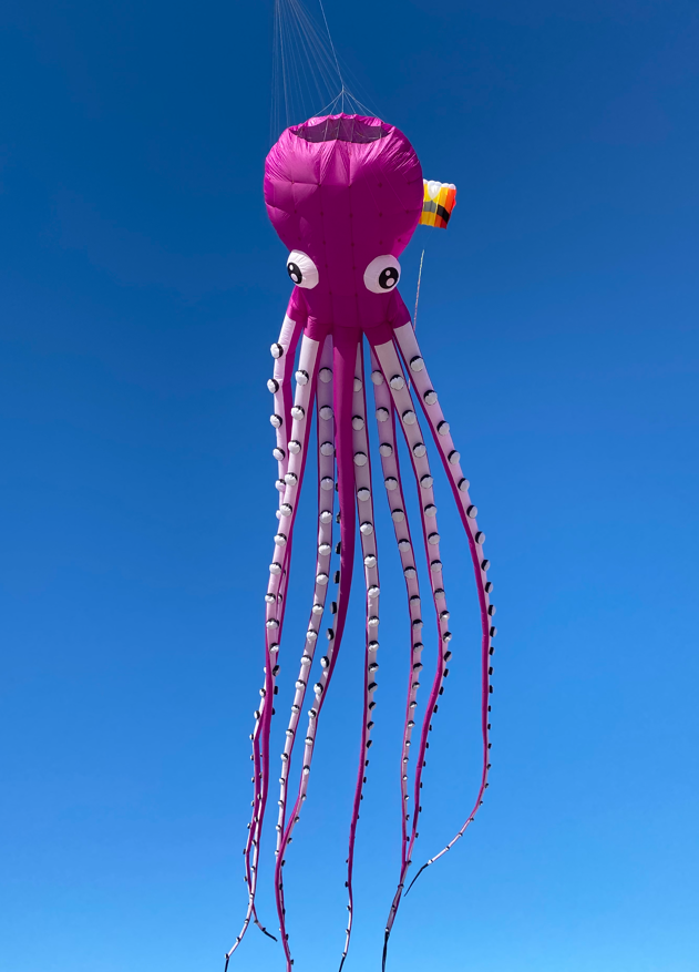 cerf-volant pieuvre