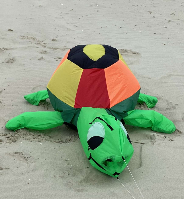 cerf-volant tortue