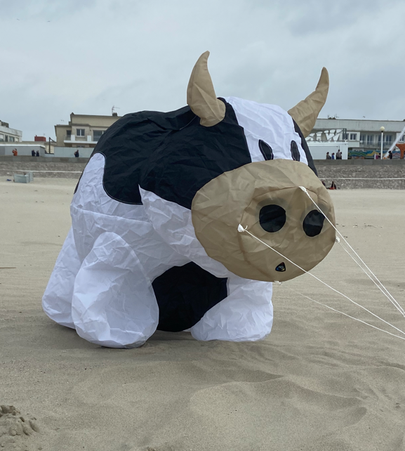 cerf-volant vache